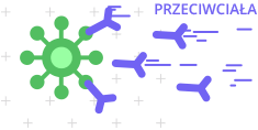 Przeciwciała