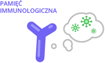 Pamięć immunologiczna