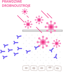 Prawdziwe drobnoustroje